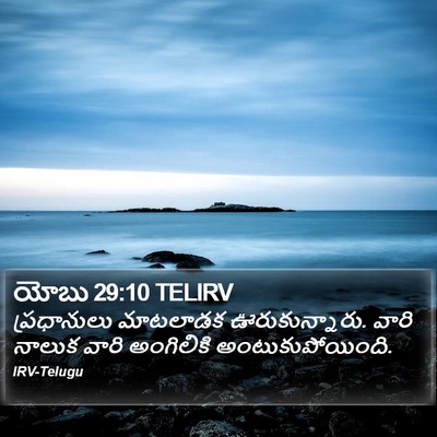 యోబు 29:10 TELIRV Bible Verse Image