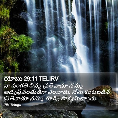 యోబు 29:11 TELIRV Bible Verse Image