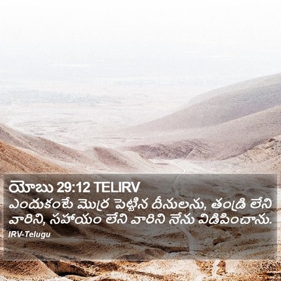 యోబు 29:12 TELIRV Bible Verse Image