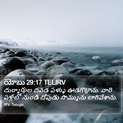 యోబు 29:17 TELIRV Bible Verse Image