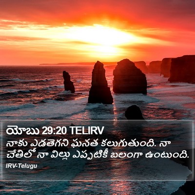 యోబు 29:20 TELIRV Bible Verse Image