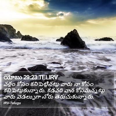 యోబు 29:23 TELIRV Bible Verse Image