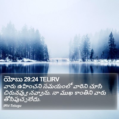 యోబు 29:24 TELIRV Bible Verse Image