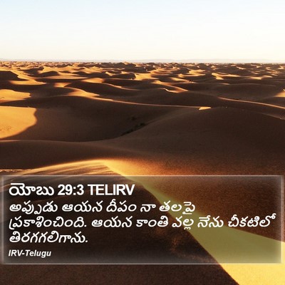 యోబు 29:3 TELIRV Bible Verse Image