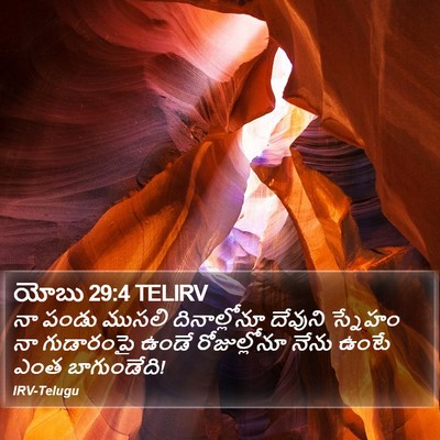 యోబు 29:4 TELIRV Bible Verse Image