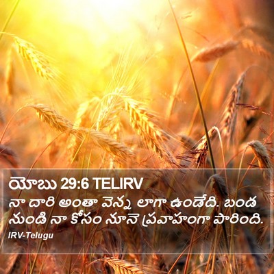 యోబు 29:6 TELIRV Bible Verse Image