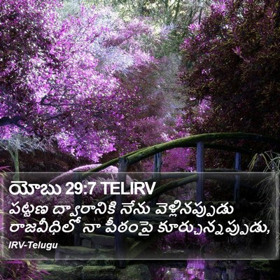 యోబు 29:7 TELIRV Bible Verse Image