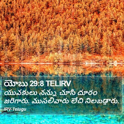 యోబు 29:8 TELIRV Bible Verse Image
