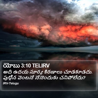 యోబు 3:10 TELIRV Bible Verse Image