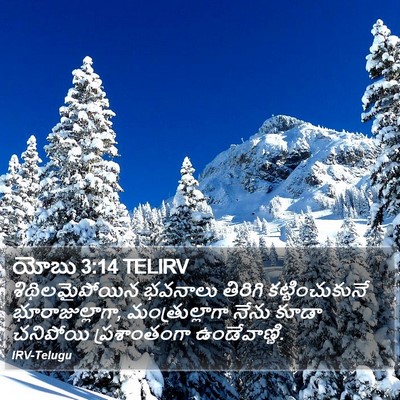 యోబు 3:14 TELIRV Bible Verse Image