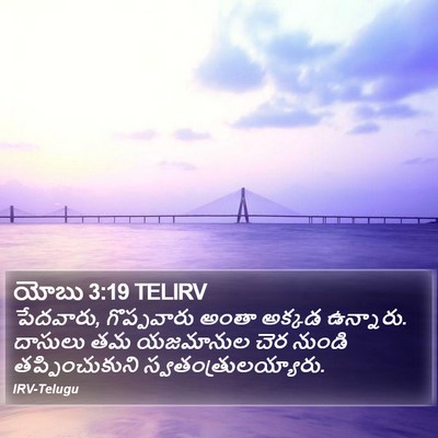 యోబు 3:19 TELIRV Bible Verse Image