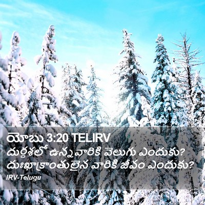 యోబు 3:20 TELIRV Bible Verse Image