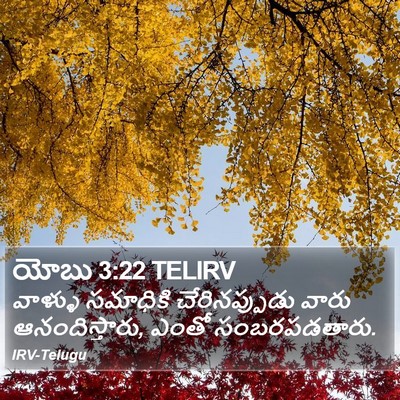 యోబు 3:22 TELIRV Bible Verse Image