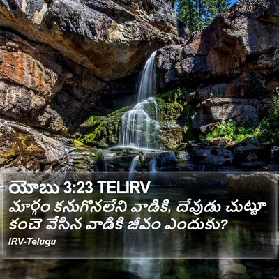 యోబు 3:23 TELIRV Bible Verse Image