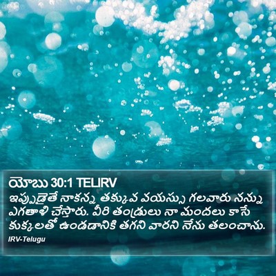 యోబు 30:1 TELIRV Bible Verse Image