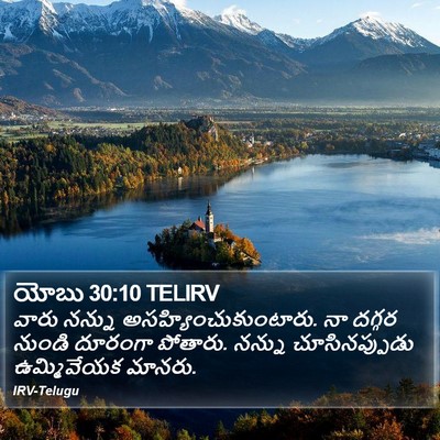 యోబు 30:10 TELIRV Bible Verse Image