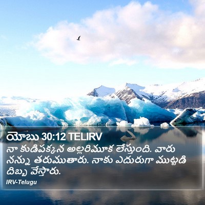 యోబు 30:12 TELIRV Bible Verse Image