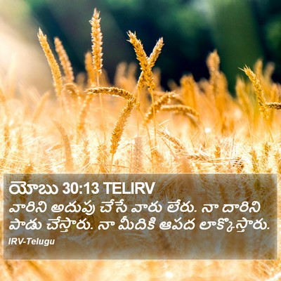 యోబు 30:13 TELIRV Bible Verse Image