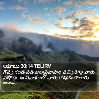 యోబు 30:14 TELIRV Bible Verse Image