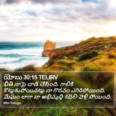 యోబు 30:15 TELIRV Bible Verse Image