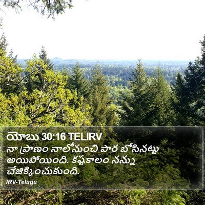 యోబు 30:16 TELIRV Bible Verse Image