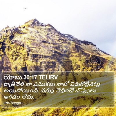యోబు 30:17 TELIRV Bible Verse Image