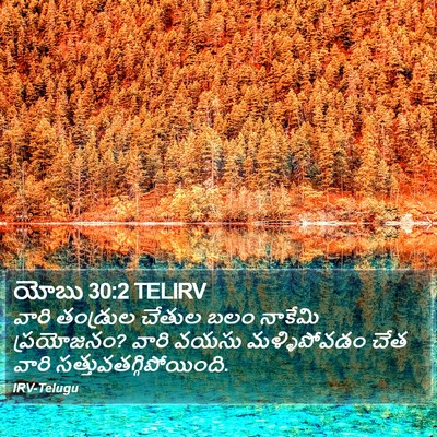 యోబు 30:2 TELIRV Bible Verse Image