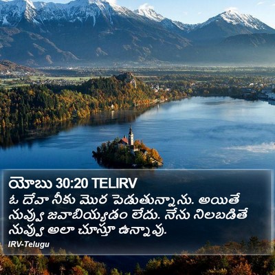 యోబు 30:20 TELIRV Bible Verse Image