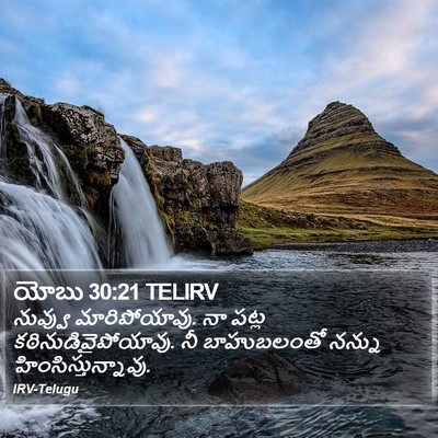 యోబు 30:21 TELIRV Bible Verse Image