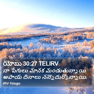 యోబు 30:27 TELIRV Bible Verse Image
