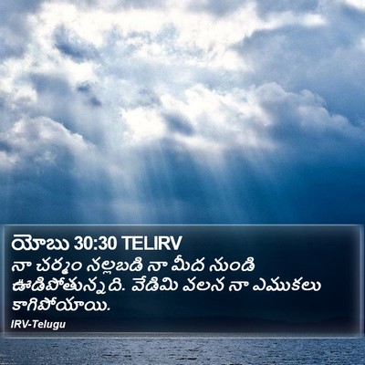 యోబు 30:30 TELIRV Bible Verse Image
