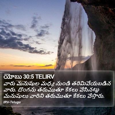 యోబు 30:5 TELIRV Bible Verse Image