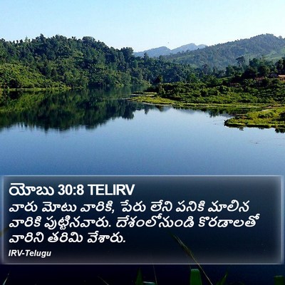 యోబు 30:8 TELIRV Bible Verse Image