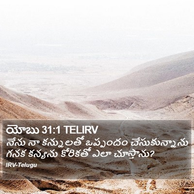 యోబు 31:1 TELIRV Bible Verse Image