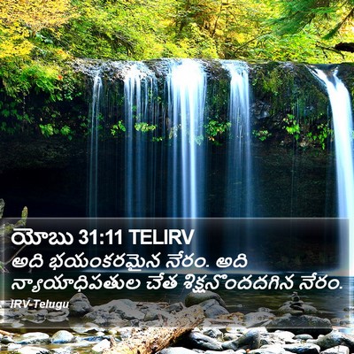 యోబు 31:11 TELIRV Bible Verse Image