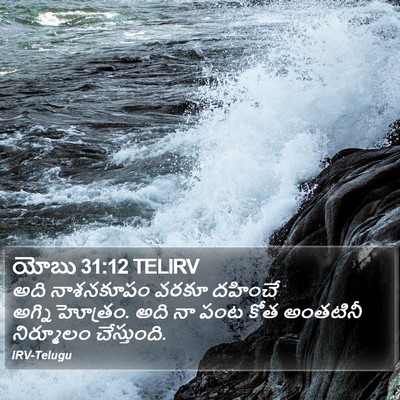 యోబు 31:12 TELIRV Bible Verse Image