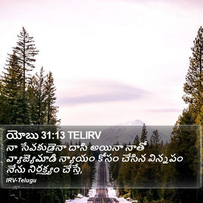 యోబు 31:13 TELIRV Bible Verse Image