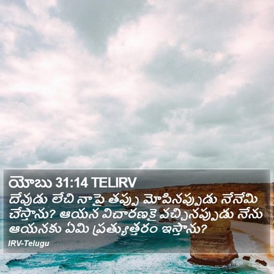 యోబు 31:14 TELIRV Bible Verse Image