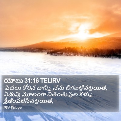 యోబు 31:16 TELIRV Bible Verse Image