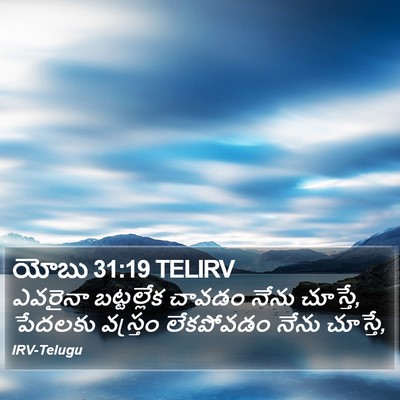 యోబు 31:19 TELIRV Bible Verse Image