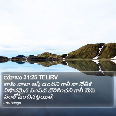 యోబు 31:25 TELIRV Bible Verse Image