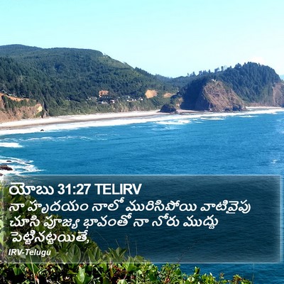 యోబు 31:27 TELIRV Bible Verse Image