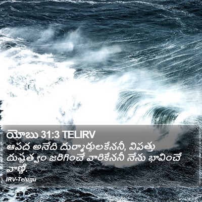 యోబు 31:3 TELIRV Bible Verse Image