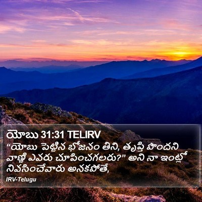 యోబు 31:31 TELIRV Bible Verse Image
