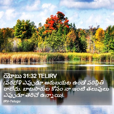 యోబు 31:32 TELIRV Bible Verse Image