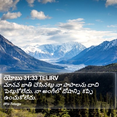 యోబు 31:33 TELIRV Bible Verse Image