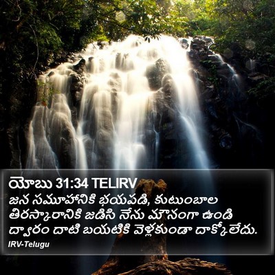 యోబు 31:34 TELIRV Bible Verse Image