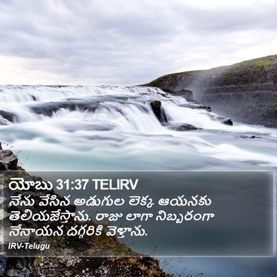 యోబు 31:37 TELIRV Bible Verse Image