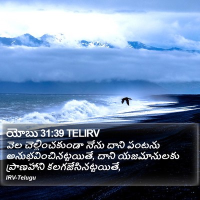 యోబు 31:39 TELIRV Bible Verse Image