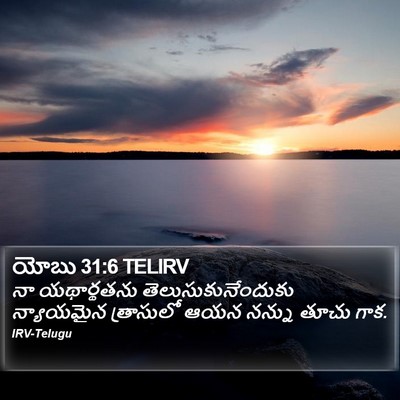 యోబు 31:6 TELIRV Bible Verse Image